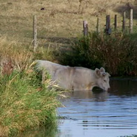 Guest house Chateau De L'abbaye - Teritoria Moreilles