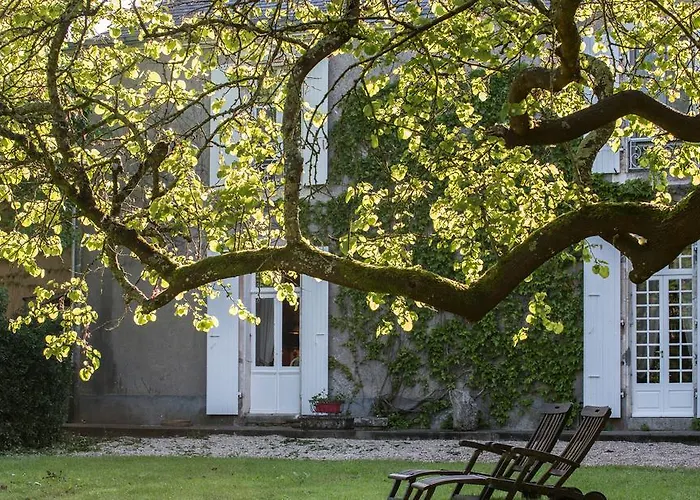 Maison d'hôtes Château De L'abbaye - Les Collectionneurs