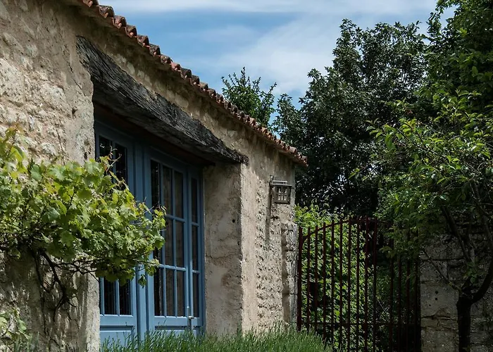 Château De L'abbaye - Les Collectionneurs