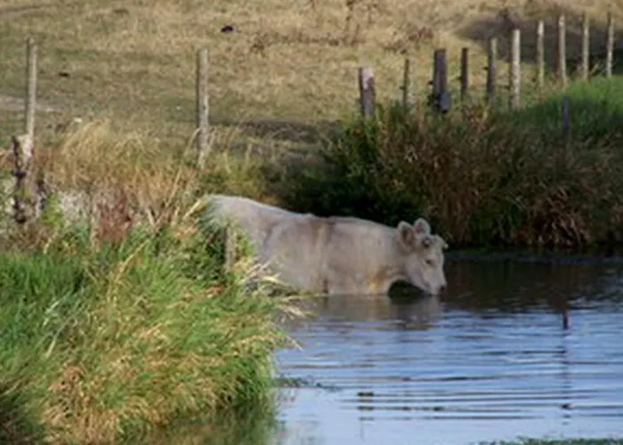 Maison d'hôtes Château De L'abbaye - Les Collectionneurs Moreilles